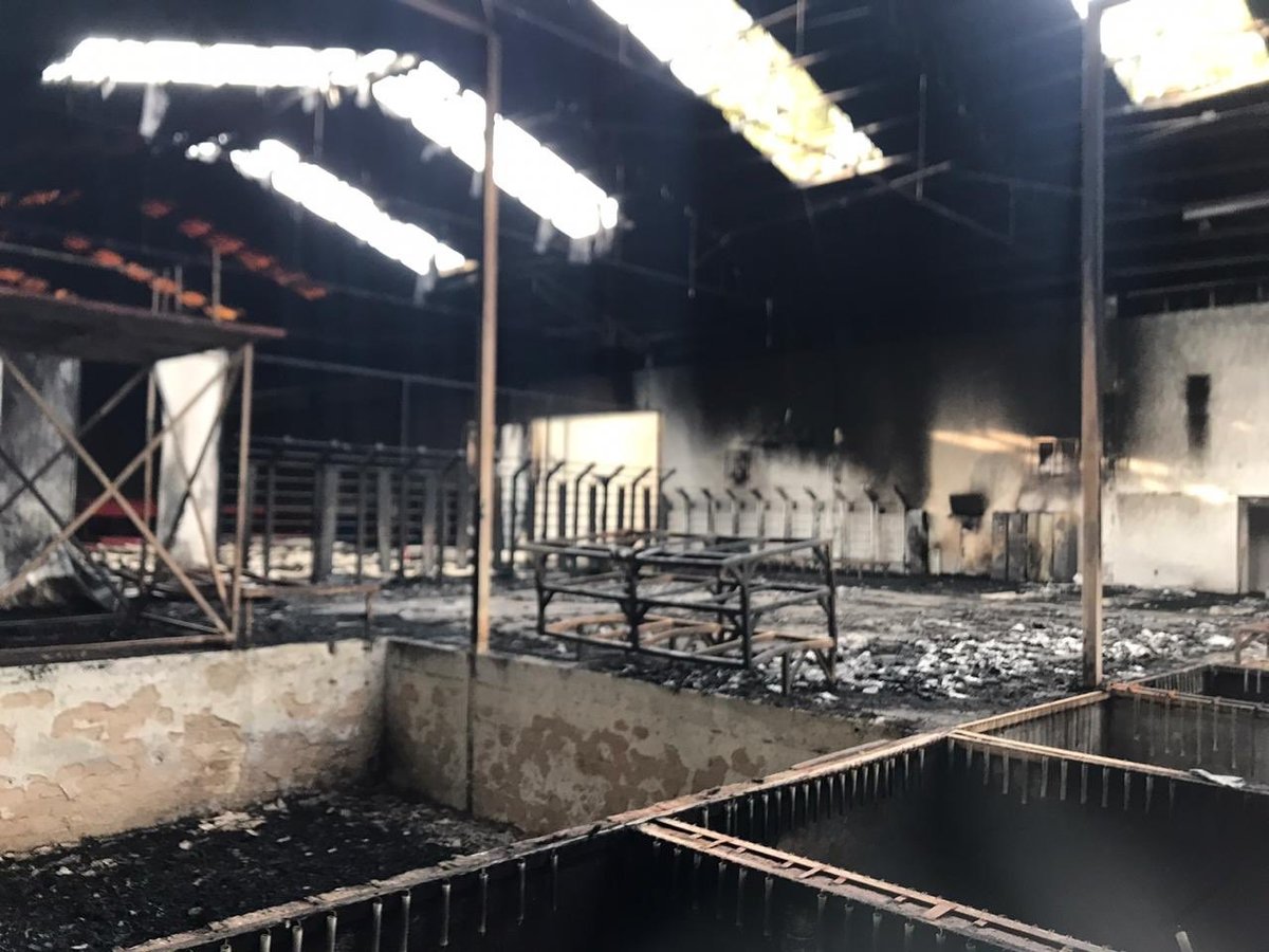 Se incendia el gimnasio de clavados en el Code Jalisco (Twitter @PaolaEspinosaOf)
