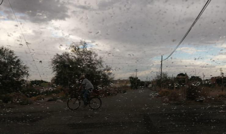 La tarde de este lunes, una lluvia moderada sorprendió a los ciudadanos de La Laguna. (Especial)