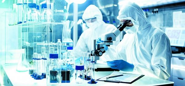 El sector genera 600 mil empleos y cuenta con 250 plantas. Shutterstock