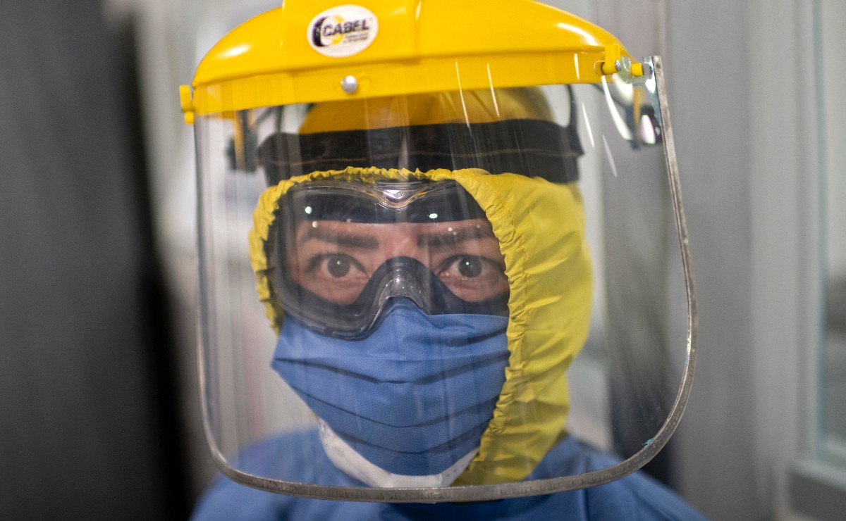 Clasifican seis tipos de coronavirus. (AFP)