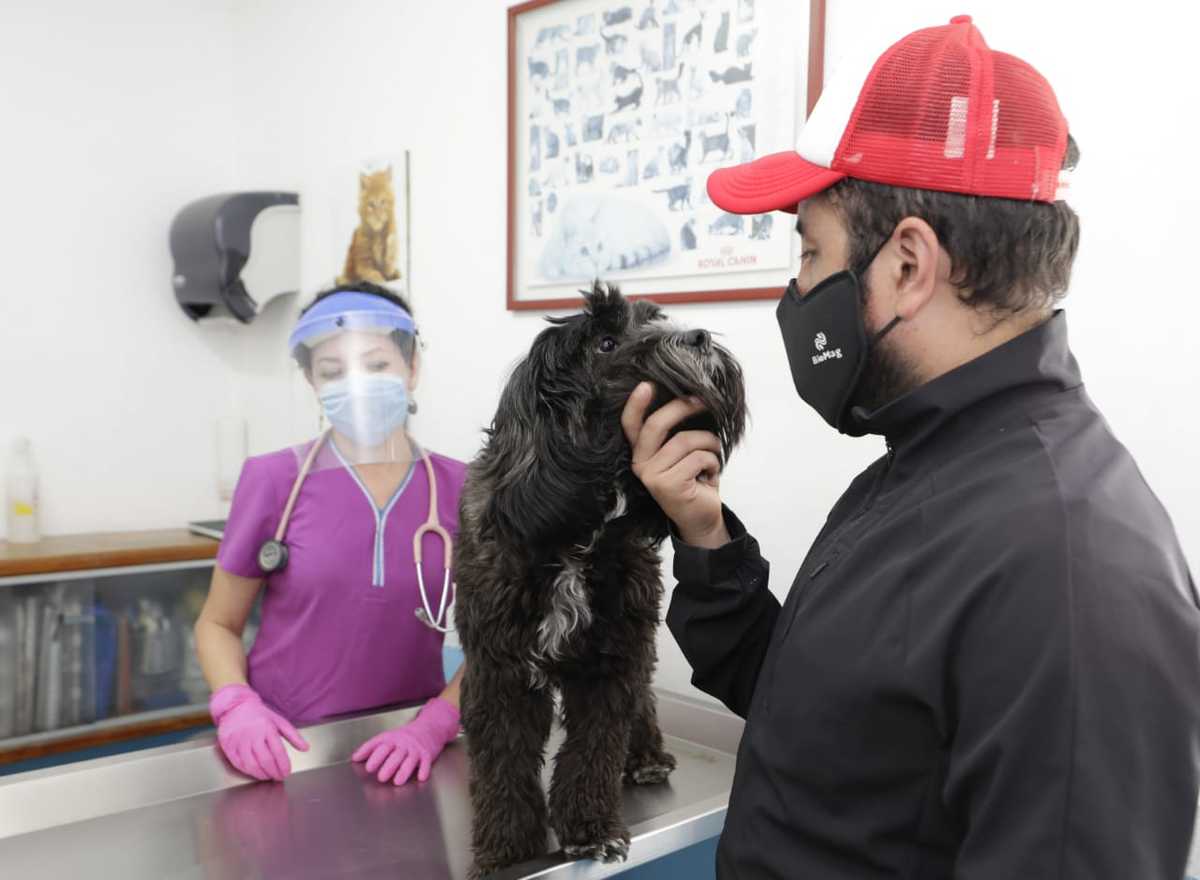 Exhortan a no abandonar y adoptar caninos en la alcaldía Miguel Hidalgo. (Especial)