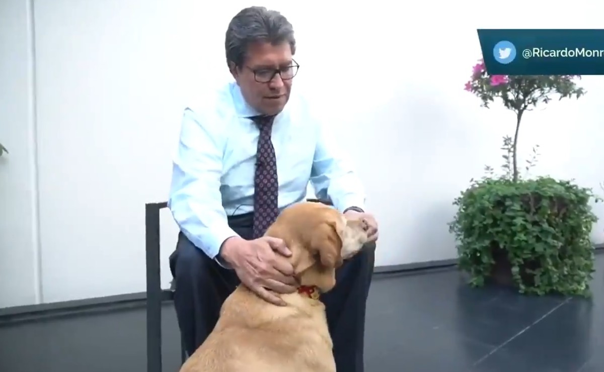 Ricardo Monreal junto a su perro en el Senado de la República. (Captura)
