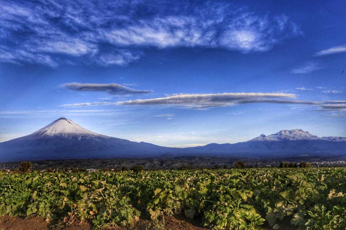 Vista del volcán Popocatépetl nevado desde San Jerónimo Tecuanipan, Puebla. (Andrés Lobato)