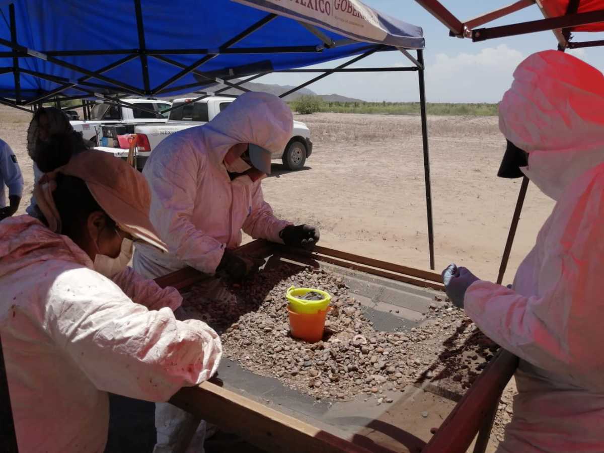 Grupo Vida y autoridades federales y estatales realizaron búsquedas de restos humanos. (Especial)