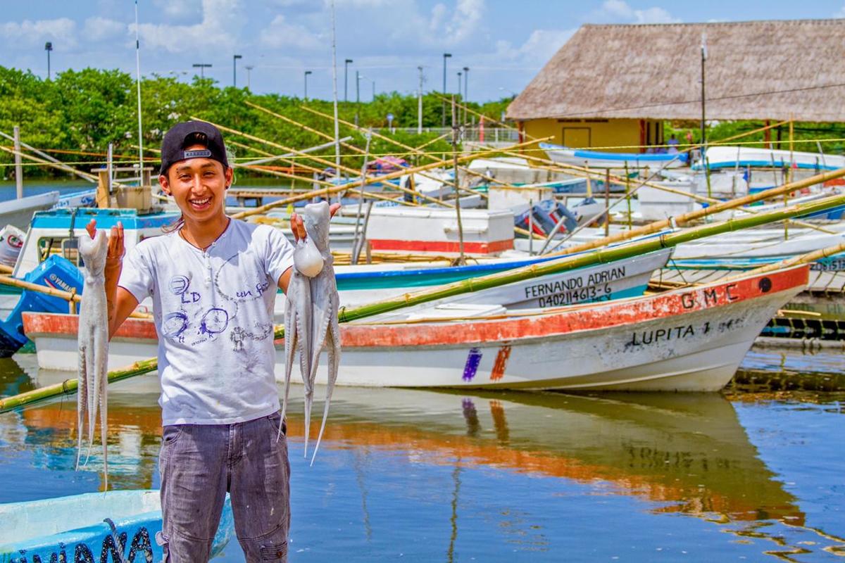 Anuncia Sader inicio de captura del pulpo rojo y patón en el Golfo de México y Caribe | Especial