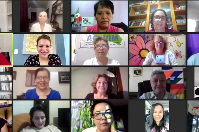 Diputadas del Grupo Plural de Igualdad Sustantiva pidieron cita a Sánchez Cordero y a Herrera. (Cámara de Diputados)