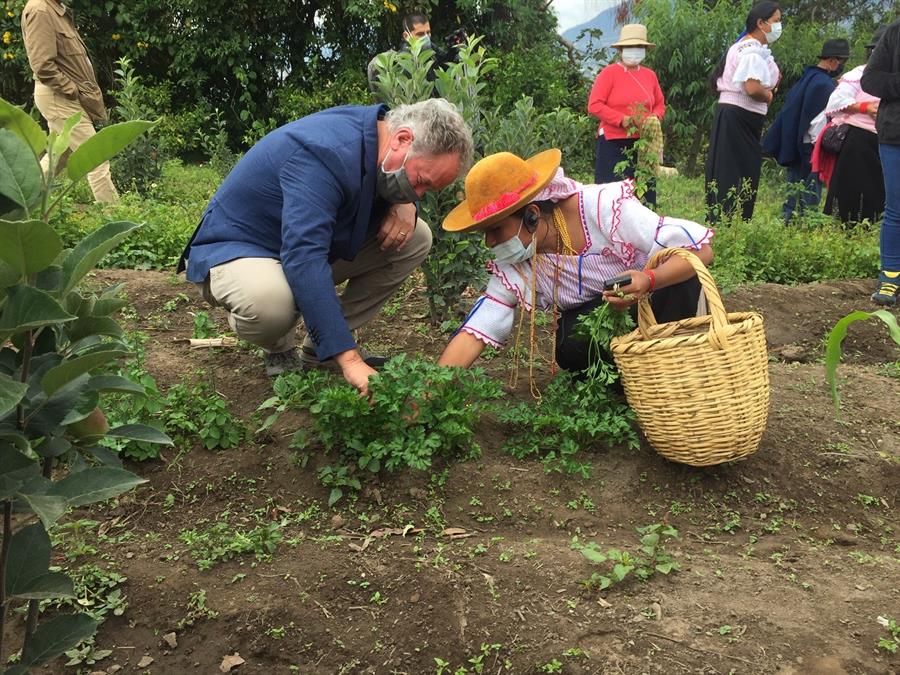 Indigenas kichwas de Ecuador muestran sus hortalizas y frutas a David Beasley, director del Programa Mundial de Alimentos. (EFE)