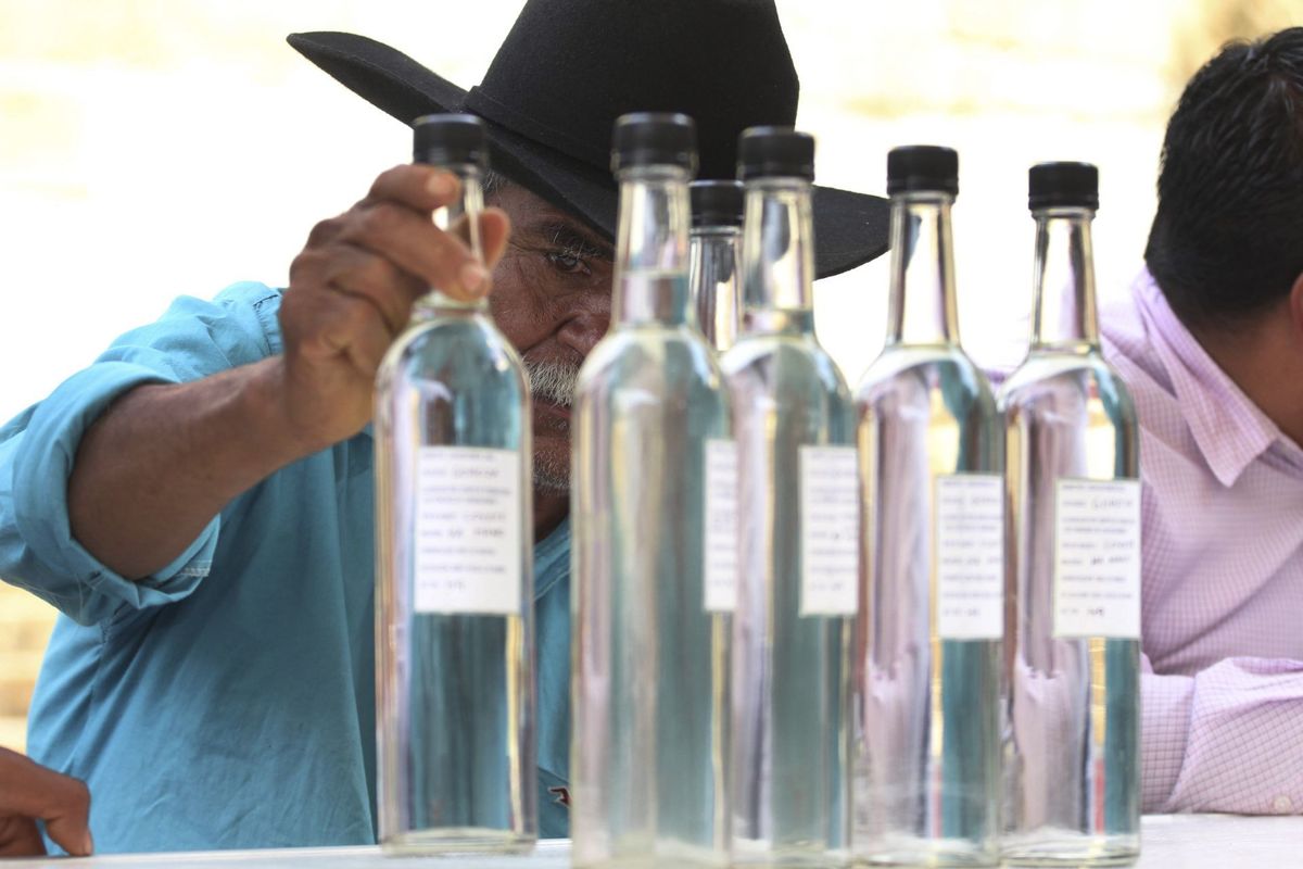 Según los expertos, un buen tequila no se caracteriza por su costo. | Cuartoscuro