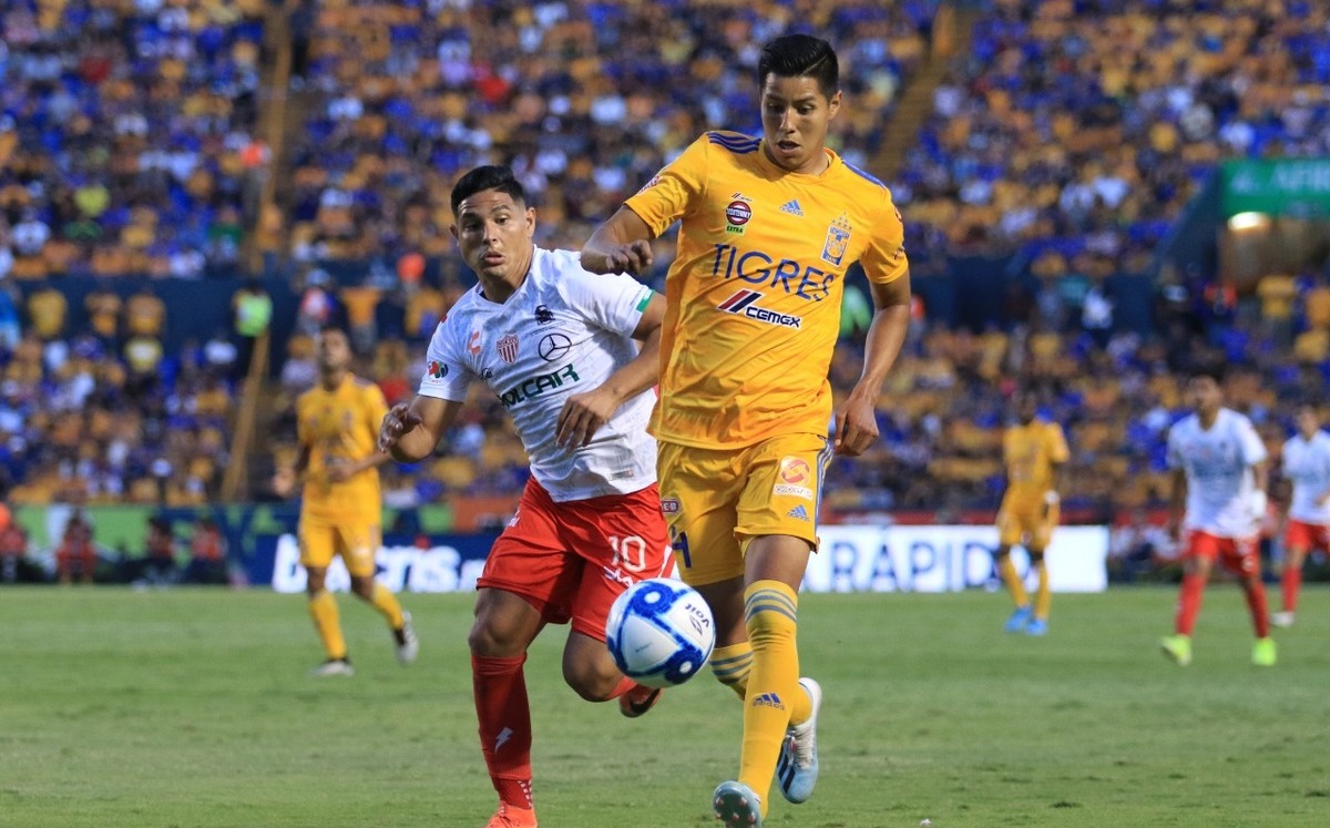 Necaxa vs Tigres: Horario y dónde ver en vivo jornada 1 de Liga MX ...