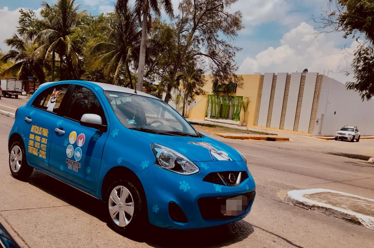 Taxi Pet, Tampico