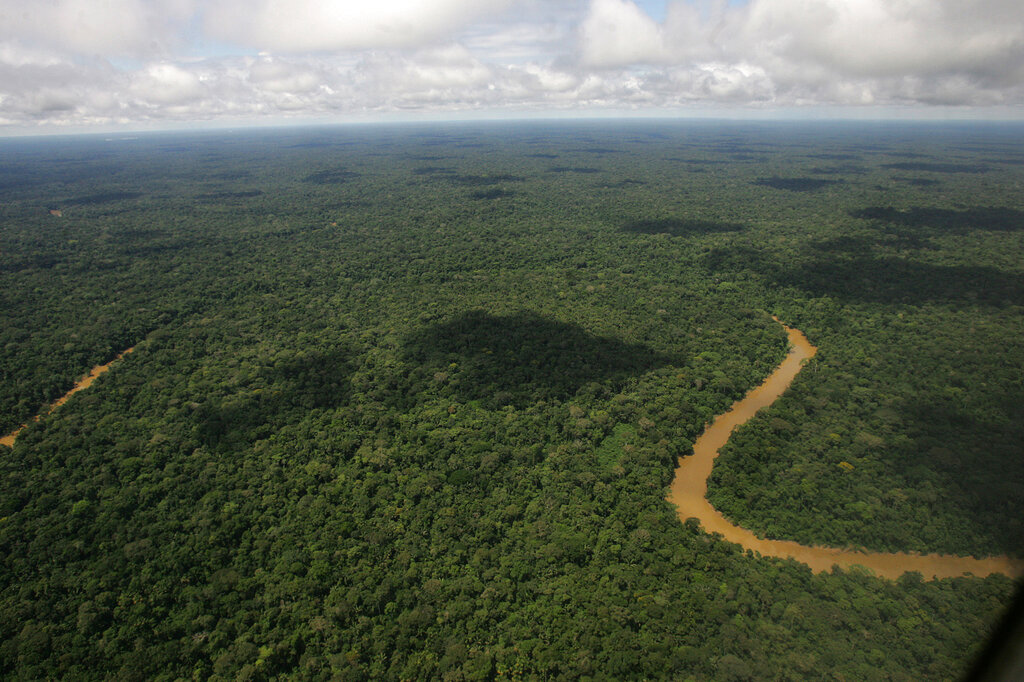 El Amazonas y las zonas boscosas de Rumania y Filipinas han sido las más afectadas por la tala ilegal. (AP)