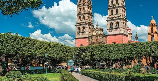 Salvatierra Guanajuato. Lugar de hermosa Vegetación - Grupo Milenio