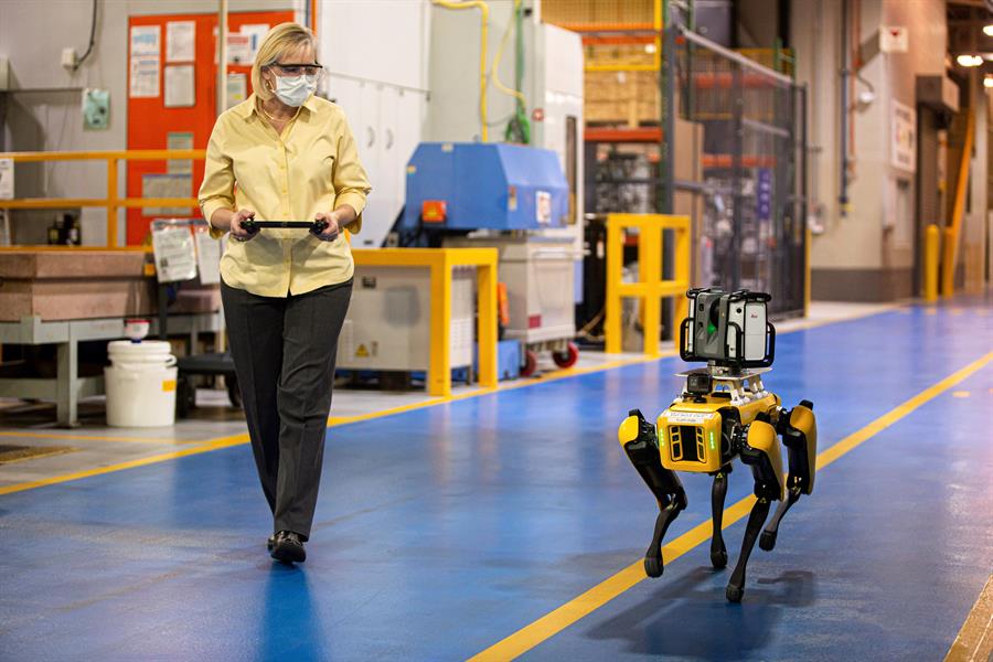 Los perros robot fueron bautizados Fluffy y Spot. (EFE)