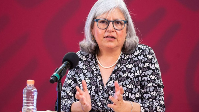 T-MEC requiere trabajo técnico para que no "se ensucie": Graciela Márquez