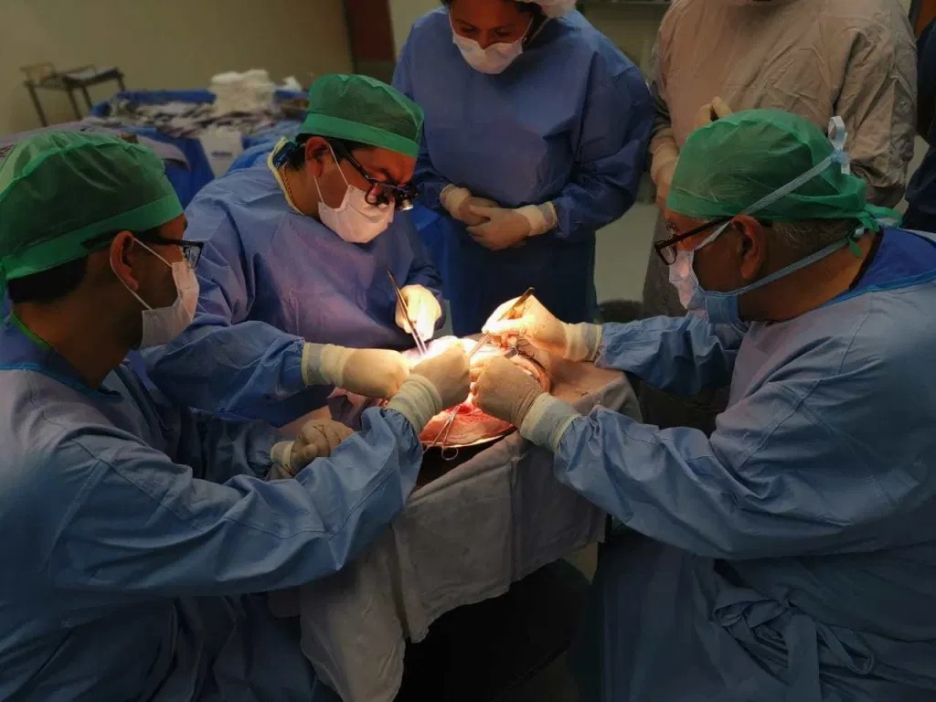 Trasplante de órganos | A 4 meses de pandemia, más de 2 mil en Guanajuato esperan trasplantes. ESPECIAL.