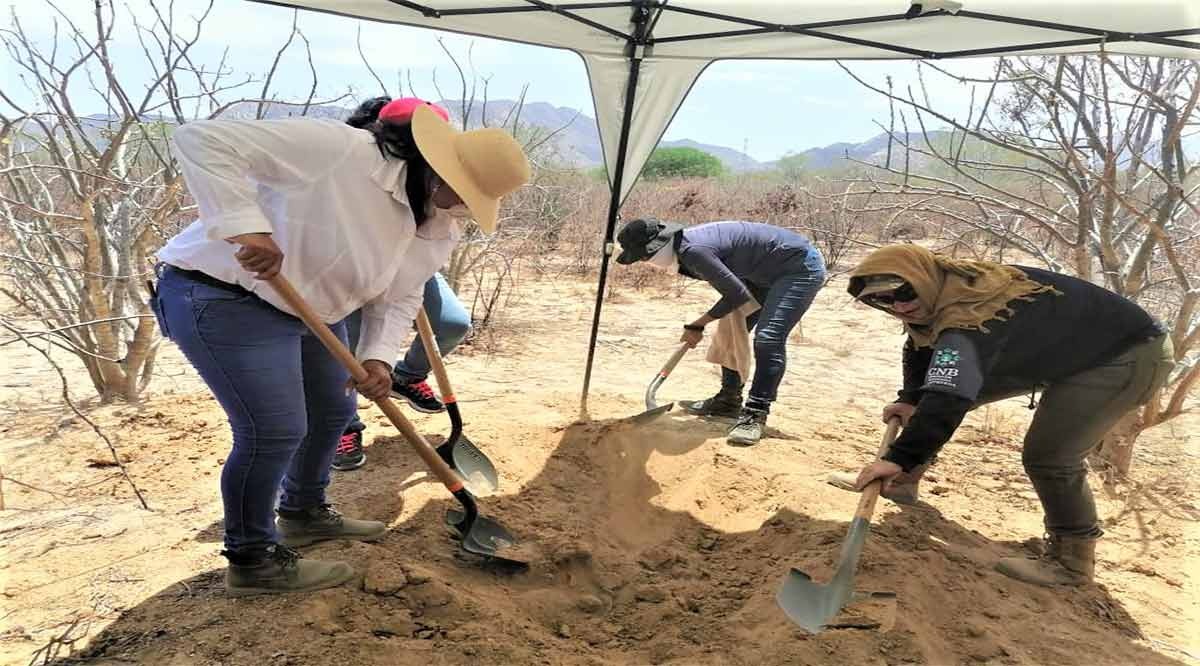 Fueron encontrados restos óseos humanos pertenecientes al menos a tres personas. (Margarita Rojas)