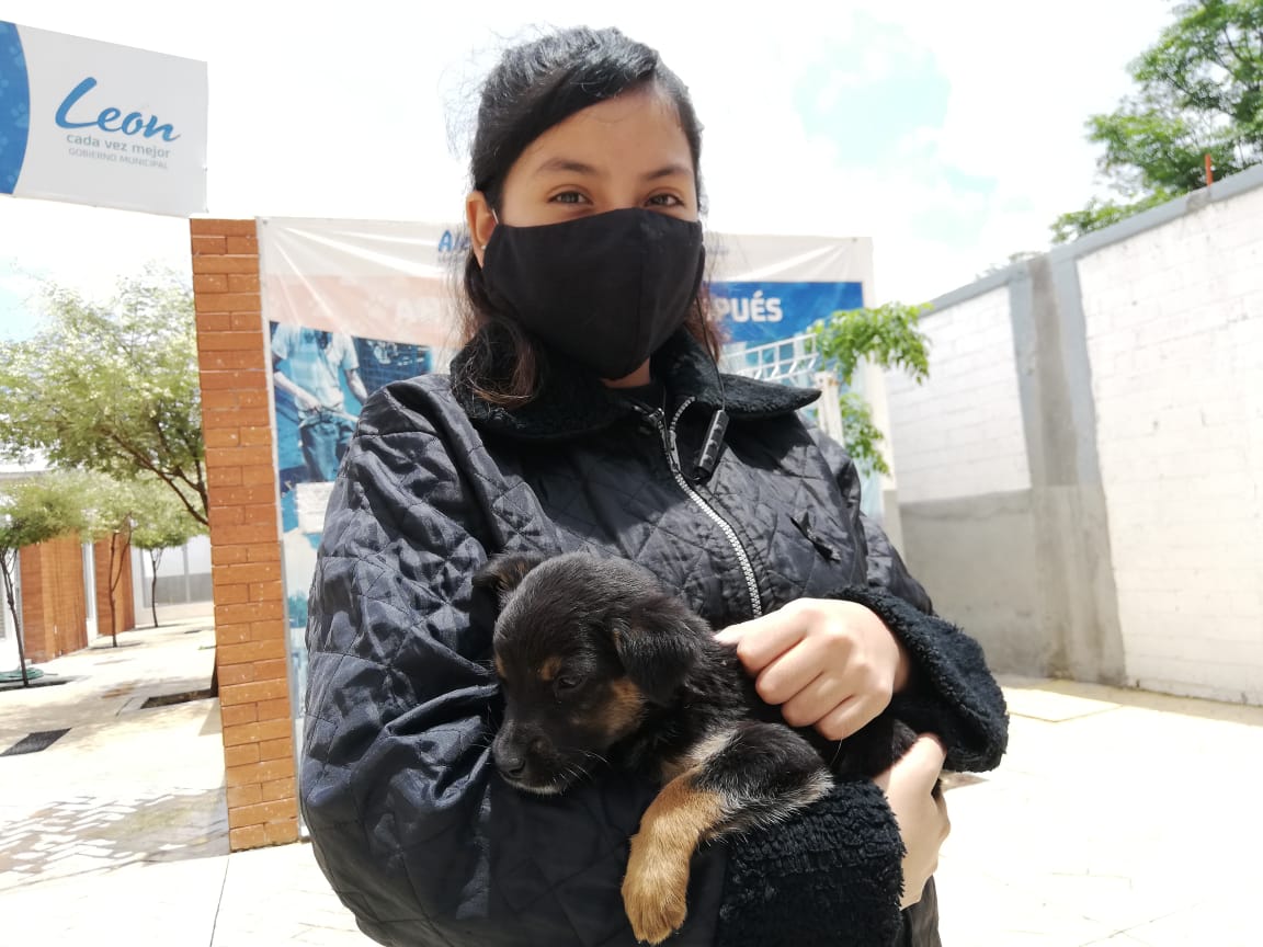 CCBA en León apertura zona de adopción; 6 mascotas encuentran familia