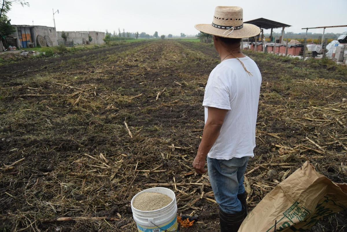 Eleazar Osornio Cruz, trabajador del campo en Hidalgo. (Francisco Villeda)