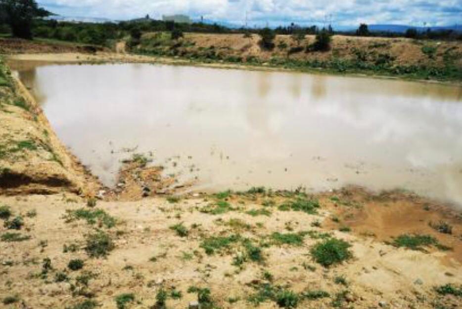 En la inspección no se encontró que estas causen al ecosistema algún tipo de incidente ambiental. (Óscar Rodriguez)