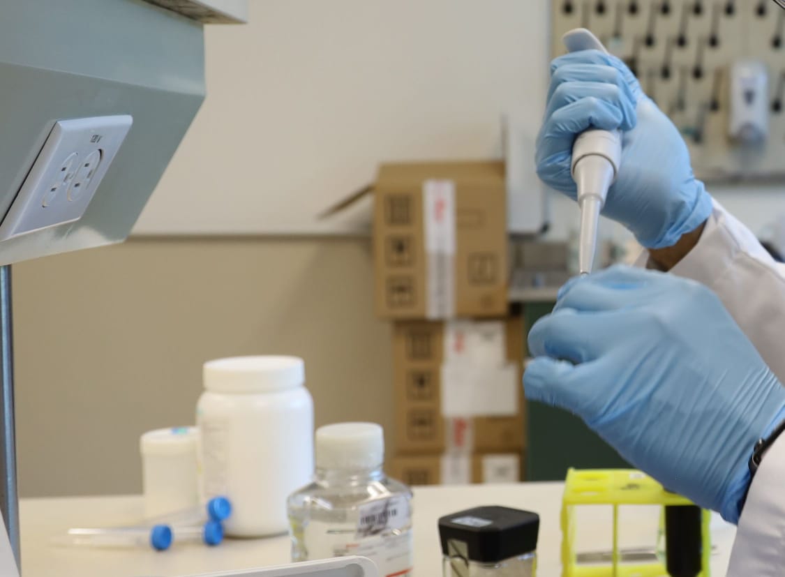La prueba rápida de coronavirus será accesible y de fácil interpretación.