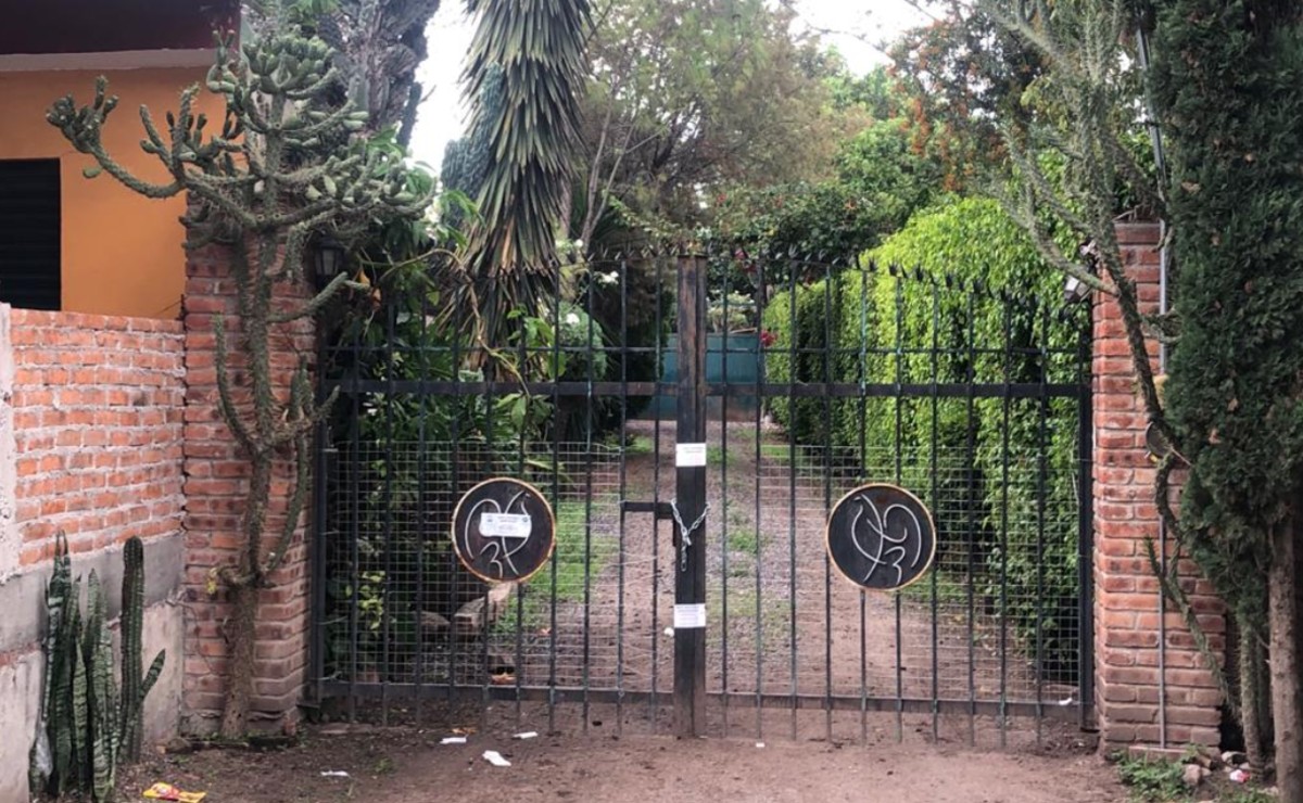 La casa está rodeada de árboles, palmeras y plantas. (Jannet López Ponce)