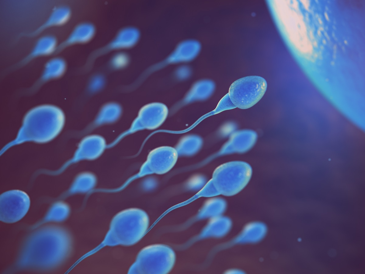 El descubrimientos servirá para desarrollar herramientas de diagnóstico que identifiquen a los espermatozoides que no son sanos. (Shutterstock)