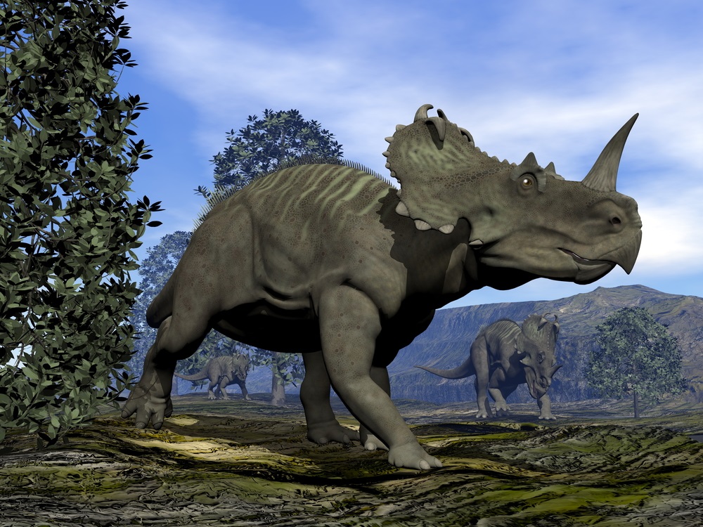Centrosaurus, la especie a la que se le detectó el cáncer óseo. (Shutterstock)
