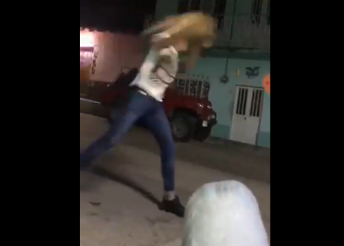 Los jóvenes lanzaron el gato de un lado a otro en Cintalapa, Chiapas. (Especial)