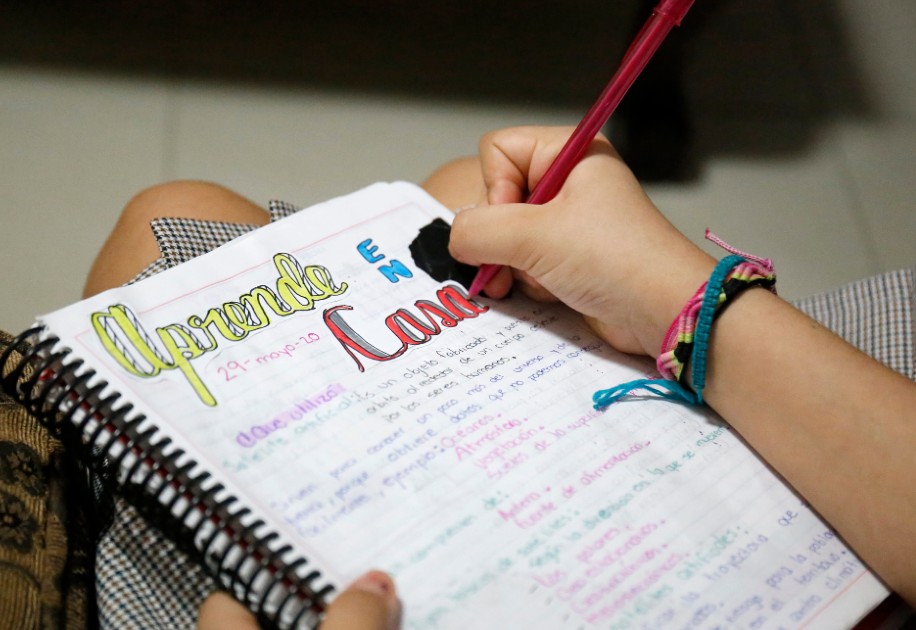 Será el 24 de agosto en la modalidad virtual cuando regresen a clases. (Rolando Riestra)