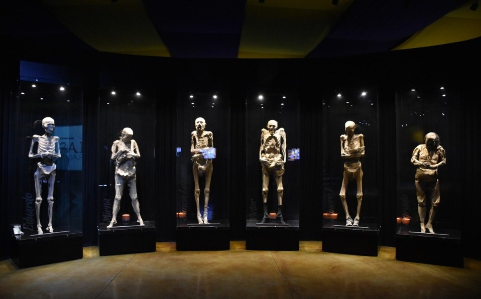 Reabre el Museo de las Momias a partir de este fin de semana