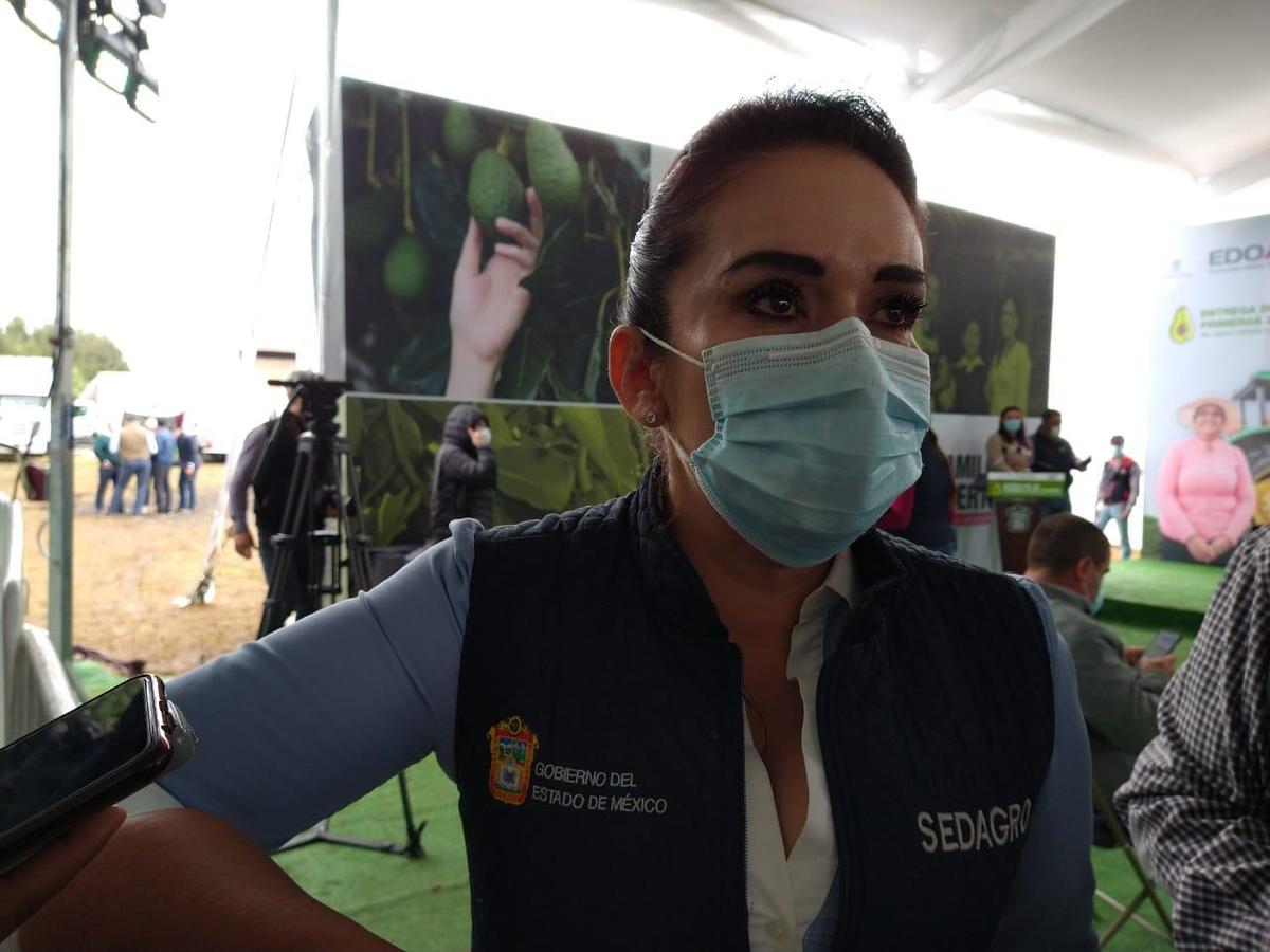 "Algunos productores registraran pérdidas totales". (Monserrat Mata)