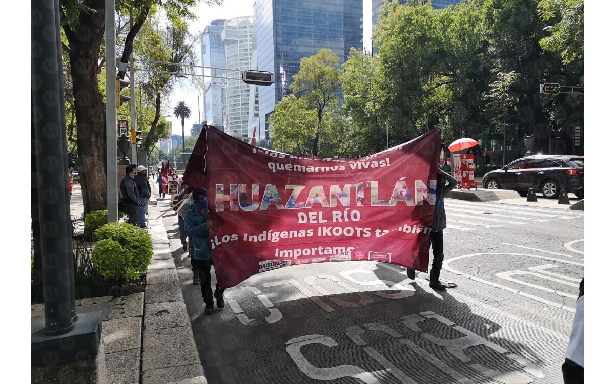 Los manifestantes marcharon por Paseo de la Reforma. (Jorge Becerril)