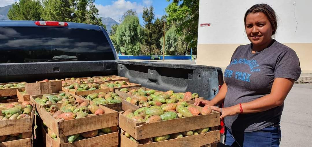 Productores de tunas.