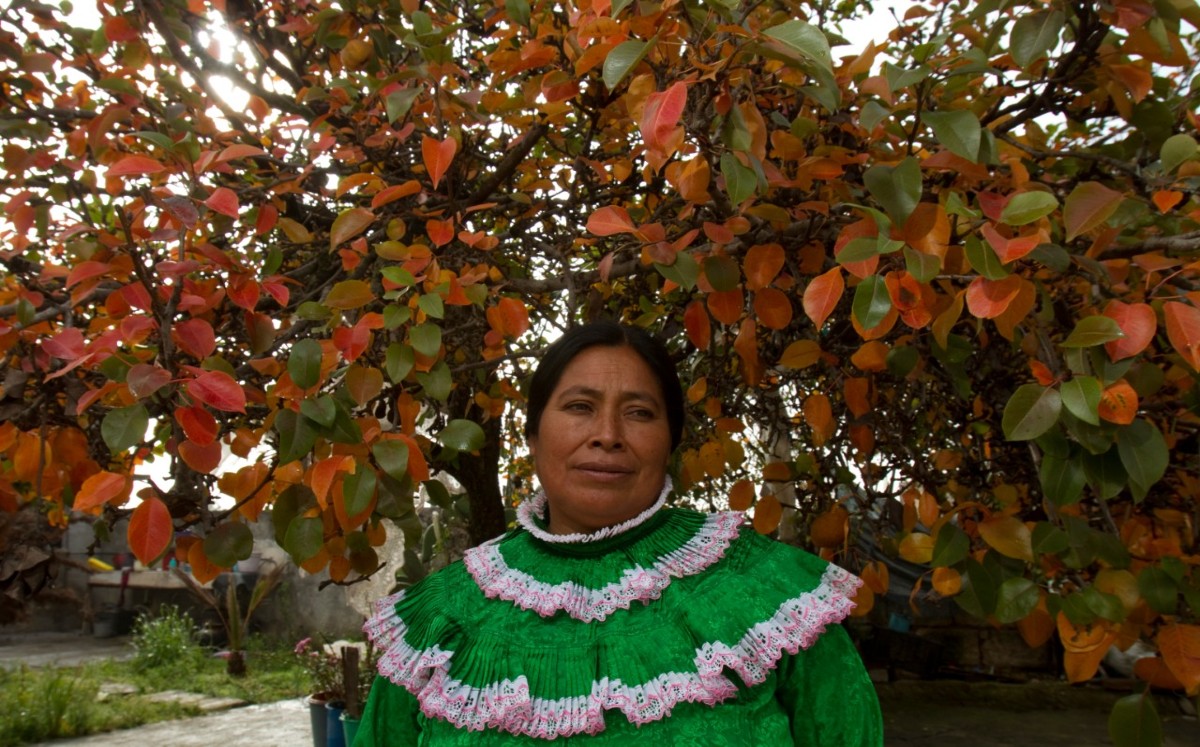 El 23 de diciembre de 1994 se estableció que cada 9 de agosto se celebre el Día Internacional de los Pueblos Indígenas | Octavio Hoyos