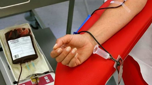 Cofece multa con 626 mdp a empresas por sobreprecios en licitaciones de IMSS e ISSSTE
