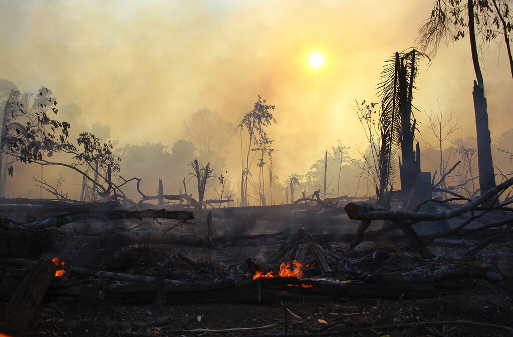 Imágenes de la deforestación del Amazonas captada el 7 de agosto de 2020. (AP)