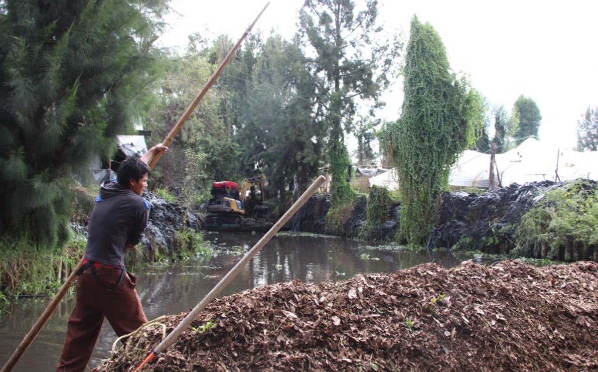 La alcaldía Xochimilco realizó limpieza de 160 kilómetros de canales. (Especial)
