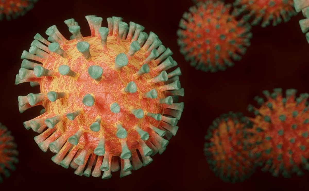 ¿Brasil se adelanta con sustancia para curar el coronavirus? (Pixabay)