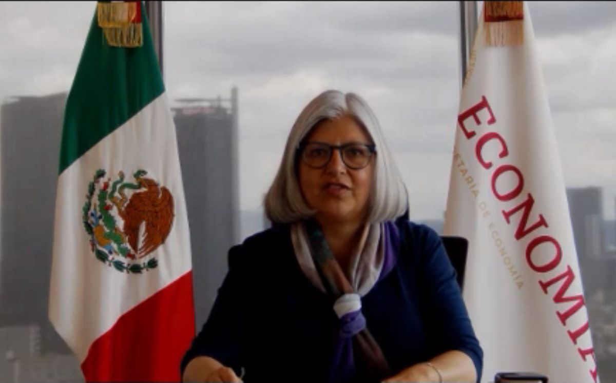Estamos a favor de una economía abierta, incluyente y competitiva, afirmó la titular de Economía, Graciela Marquez. Foto: (Especial)