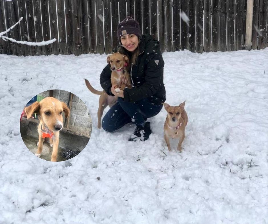 Frida llegó a Estados Unidos huyendo del maltrato. (Especial)