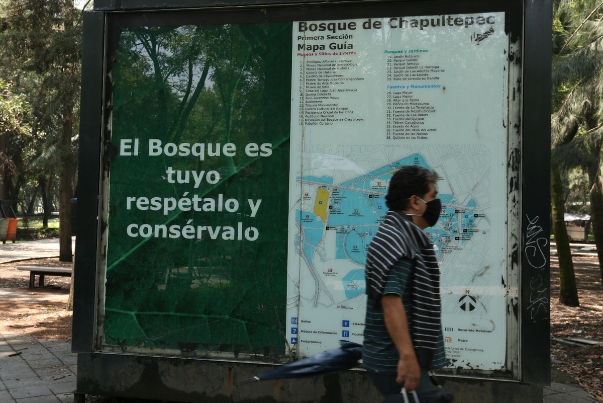 El topónimo de Chapultepec procede del idioma náhuatl y significa: en el cerro del Chapulín.