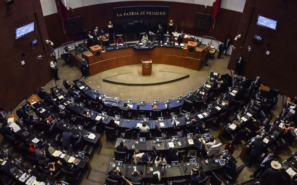 Sesión extraordinaria de la Cámara de Senadores de finales de julio. (Cuartoscuro)