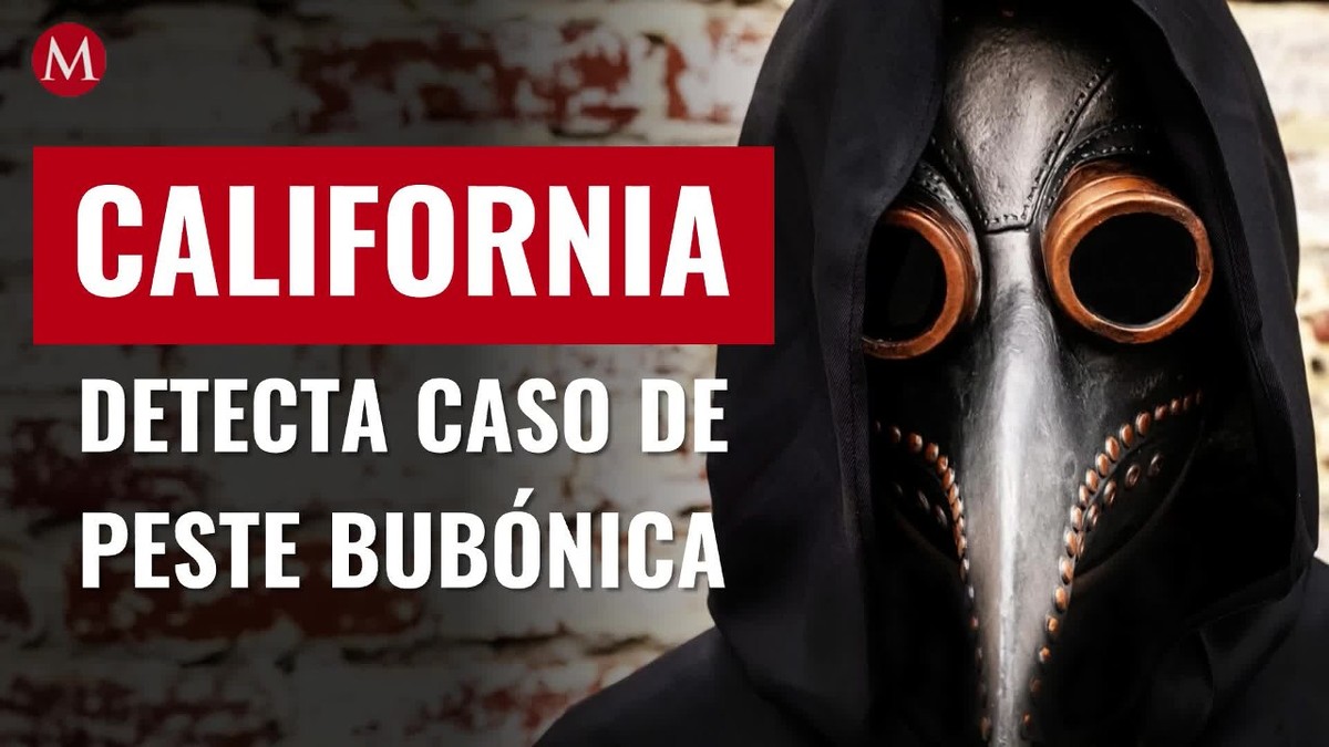 California detecta primer caso de peste bubónica en 5 años