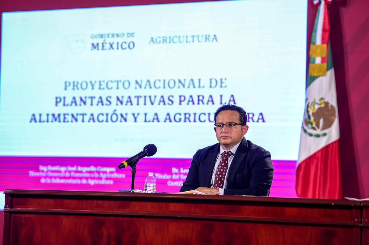 Proyecto de Plantas Nativas busca fortalecer la seguridad alimentaria en México: Sader | Azucena Rangel