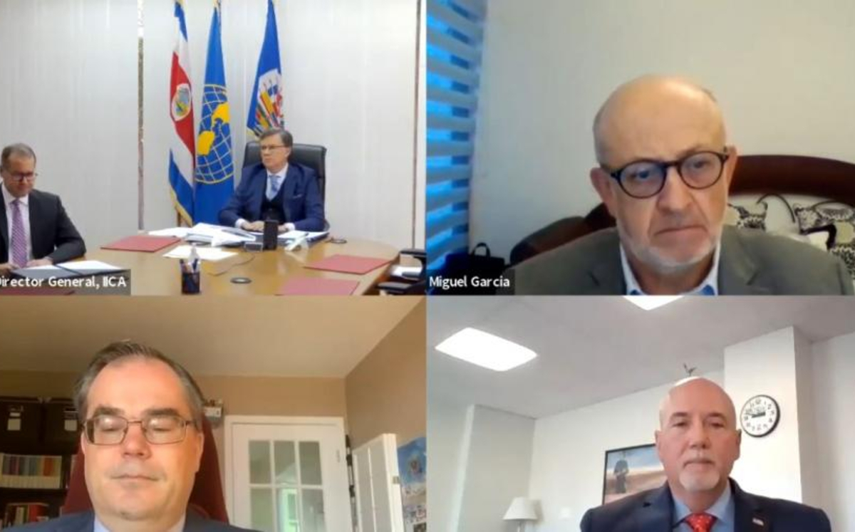 Estas discusiones tuvieron lugar en los seminarios del Instituto Interamericano de Cooperación para la Agricultura. (Especial)