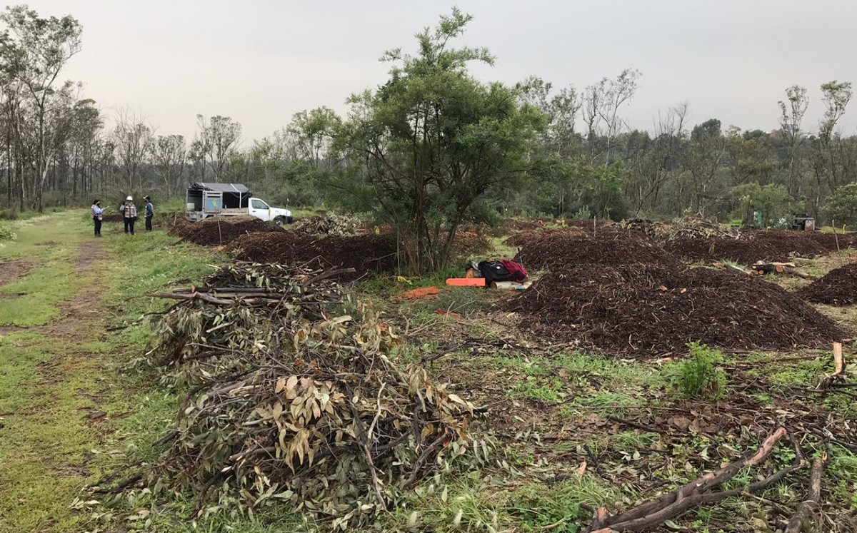 Vecinos buscan que la Barranca de Barrilaco sea incluida en el Proyecto Chapultepec. (Cinthya Sttetin)