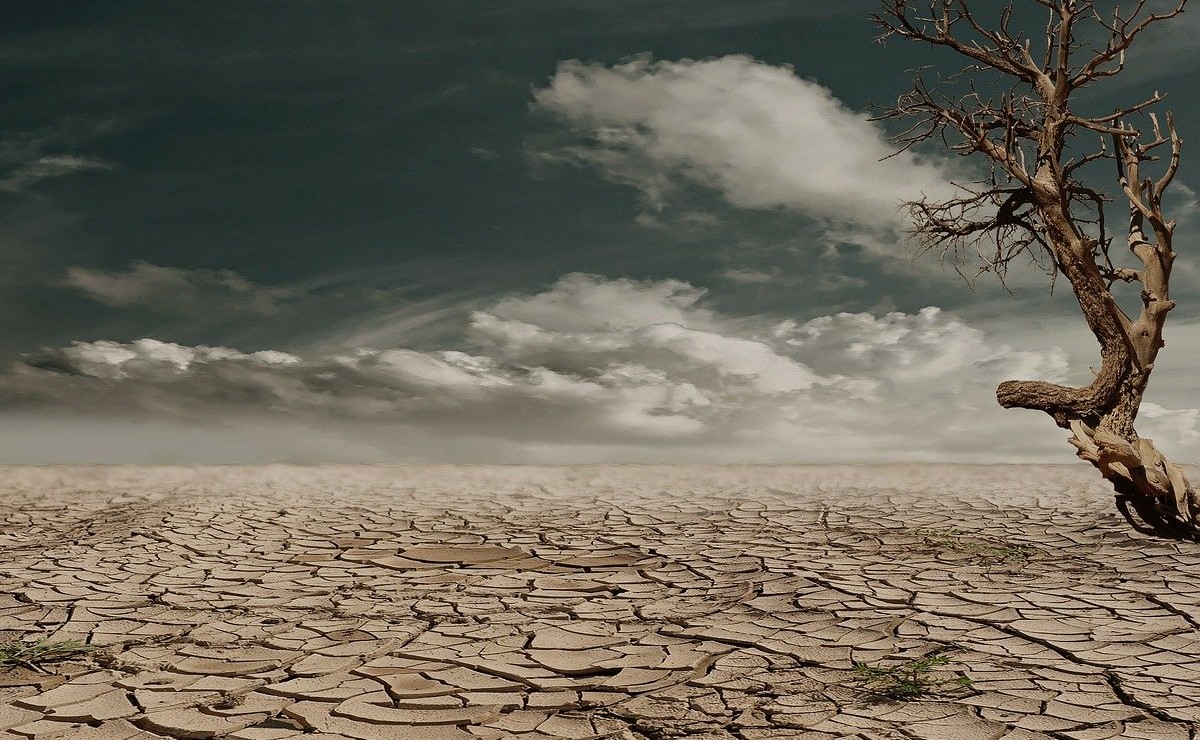El Día de la Sobrecapacidad de la Tierra se retrasó tres semanas por la pandemia (Pixabay).