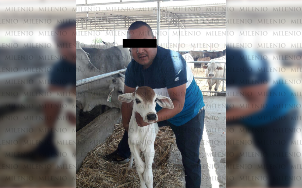 'El Marro' fue personalmente a supervisar el ganado fino que sus hermanos compraron a las empresas ligadas con César Duarte. (Especial)