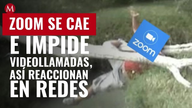 ¿Estabas en clases? Zoom se cae e impide videollamadas; así reaccionan en redes