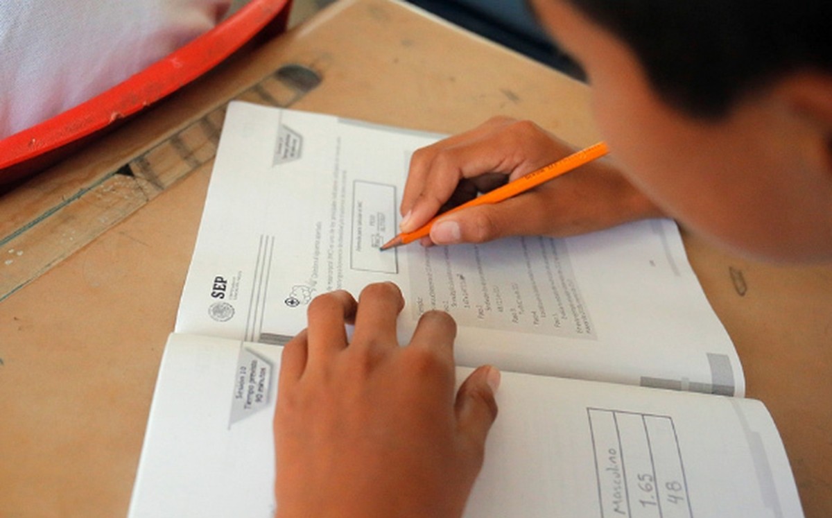 Este lunes, 30 millones de estudiantes regresarán a clases... a distancia